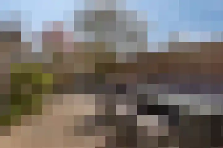 Rozemarijn 17 Monster thumbnail 18