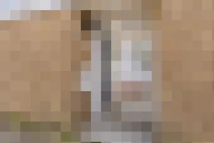 Rozemarijn 17 Monster thumbnail 23