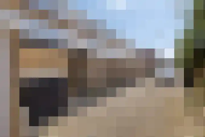Rozemarijn 17 Monster thumbnail 24