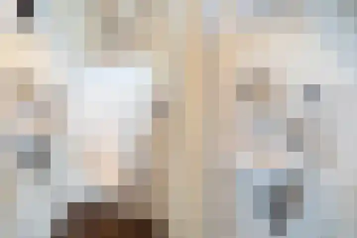 Rozemarijn 2 Wateringen thumbnail 10