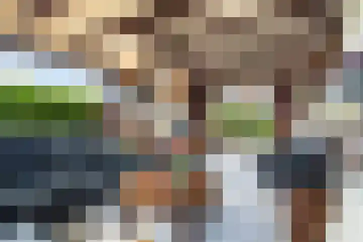 Rozemarijn 2 Wateringen thumbnail 14