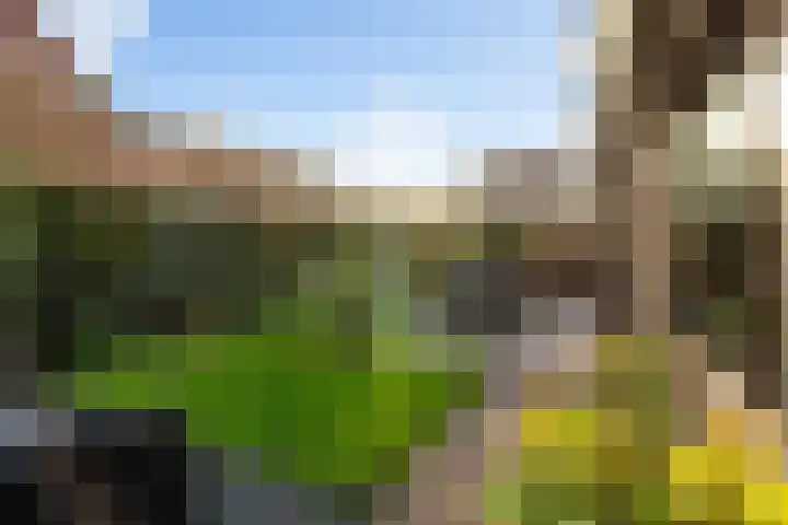 Rozemarijn 2 Wateringen thumbnail 25