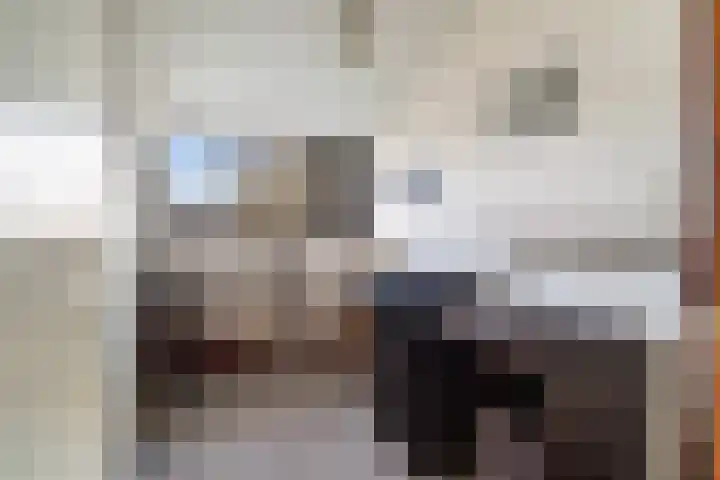 Rozemarijn 2 Wateringen thumbnail 34