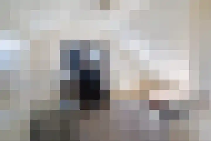 Rozemarijn 2 Wateringen thumbnail 36