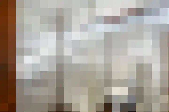 Rozemarijn 2 Wateringen thumbnail 38