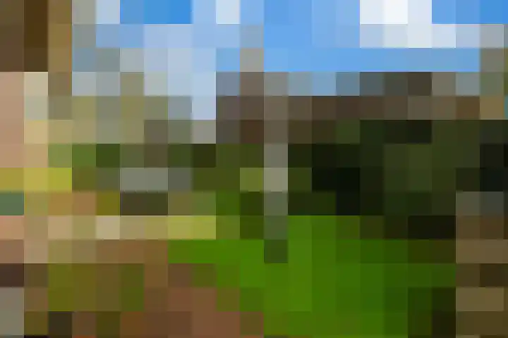 Rozemarijn 2 Wateringen thumbnail 4