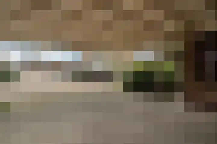 Rozemarijn 2 Wateringen thumbnail 41