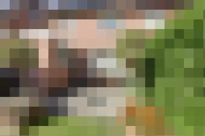 Rozemarijn 21 Dronten thumbnail 40
