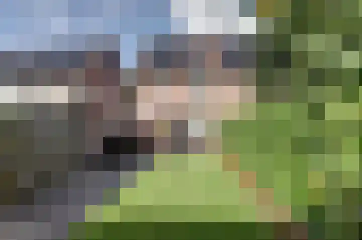 Rozemarijn 21 Dronten thumbnail 41