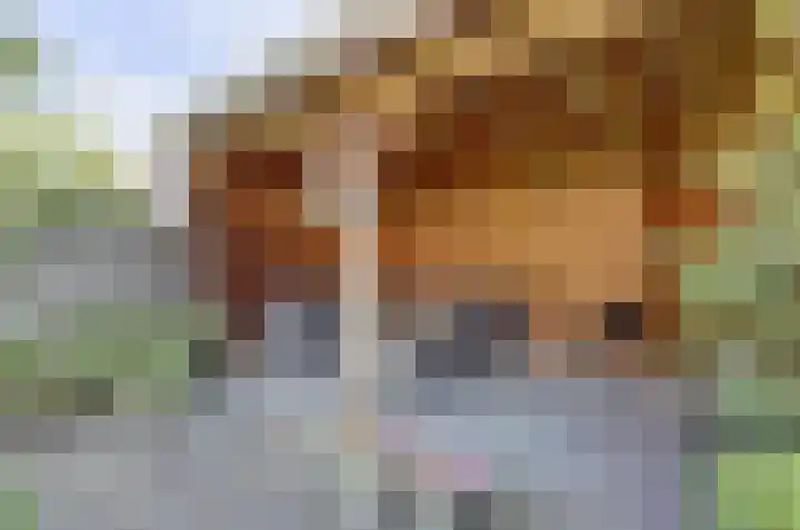 Rozemarijn 21 Dronten thumbnail 43