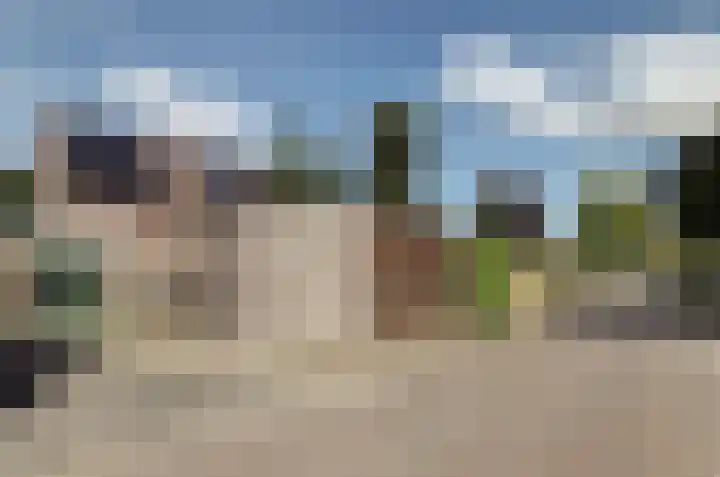 Rozemarijn 21 Dronten thumbnail 44