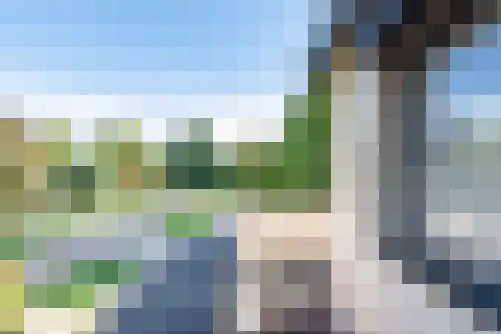 Rozemarijn 36 Gendringen thumbnail 33