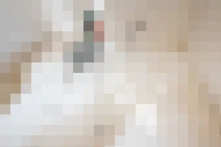 Rozemarijn 36 Gendringen thumbnail 36