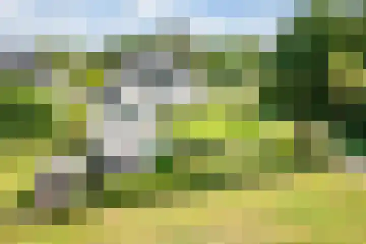 Rozemarijn 36 Gendringen thumbnail 4