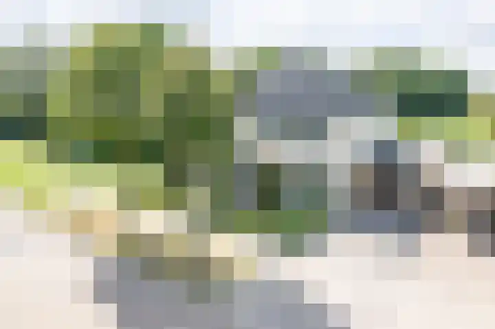 Rozemarijn 36 Gendringen thumbnail 5