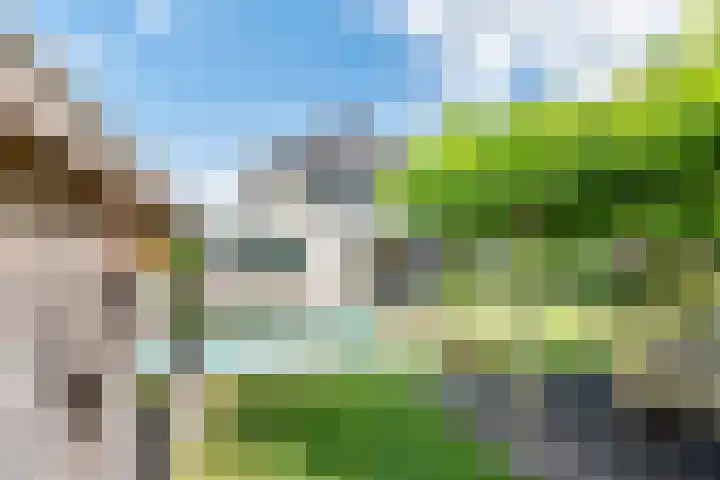 Rozemarijn 36 Gendringen thumbnail 59