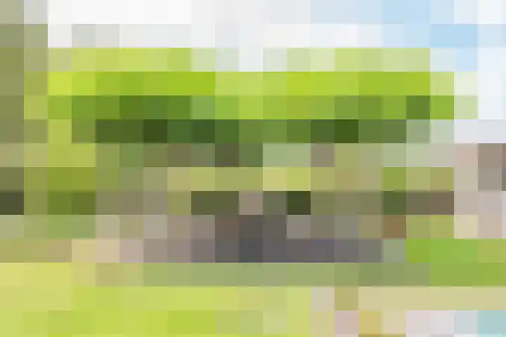 Rozemarijn 36 Gendringen thumbnail 62