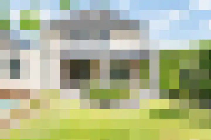 Rozemarijn 36 Gendringen thumbnail 64