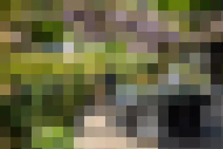 Rozemarijnsingel 7 Wierden thumbnail 12