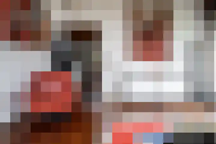 Rozemarijnsingel 7 Wierden thumbnail 27