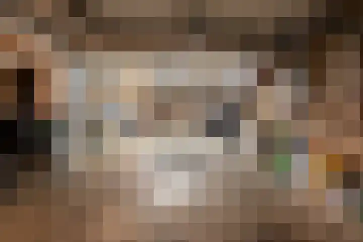 Rozemarijnsingel 7 Wierden thumbnail 42