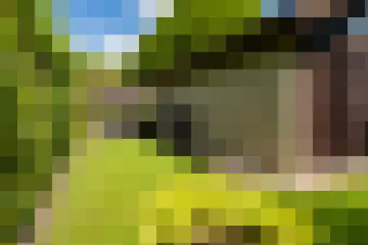 Rozemarijnsingel 7 Wierden thumbnail 43