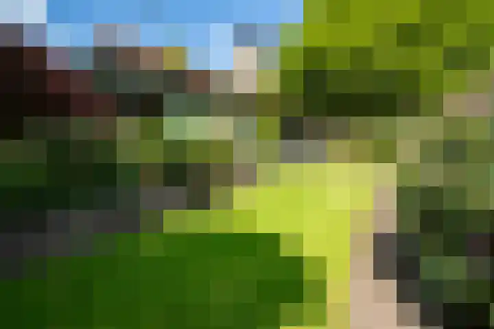 Rozemarijnsingel 7 Wierden thumbnail 46