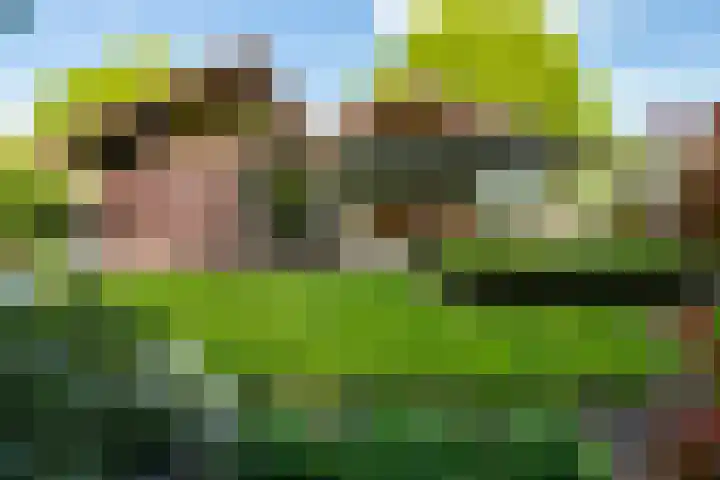 Rozemarijnsingel 7 Wierden thumbnail 5
