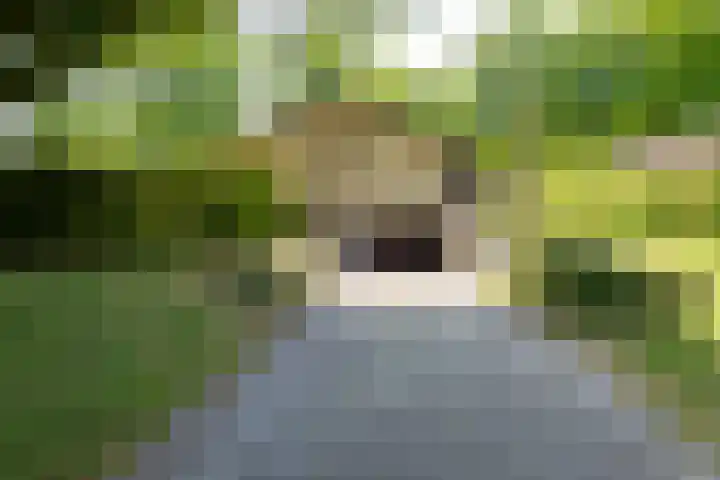 Rozemarijnsingel 7 Wierden thumbnail 7