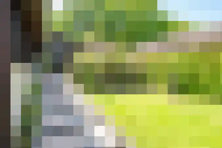 Rozemarijnsingel 7 Wierden thumbnail 9
