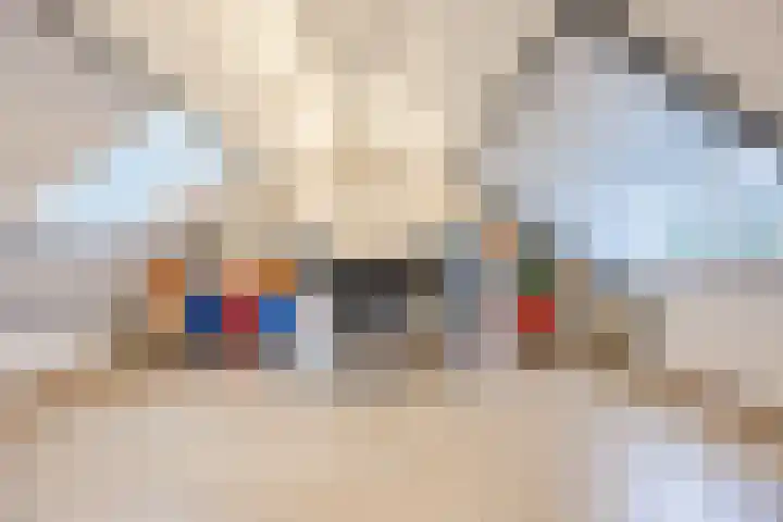 Rozemarijntuin 24 Leiderdorp thumbnail 12