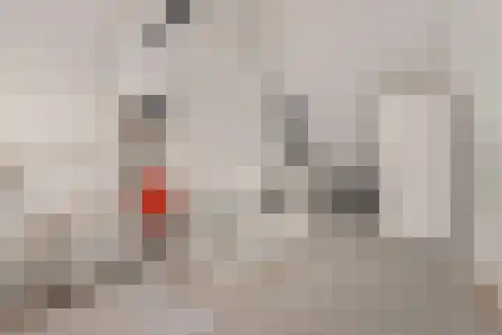 Rozemarijntuin 24 Leiderdorp thumbnail 31