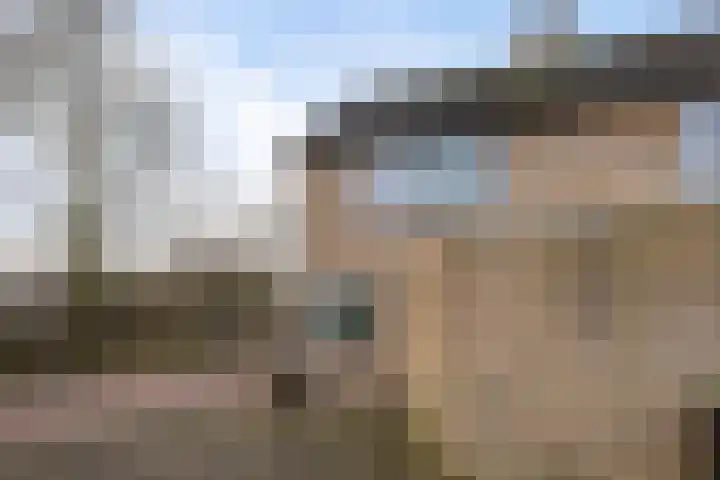 Rozemarijntuin 24 Leiderdorp thumbnail 39