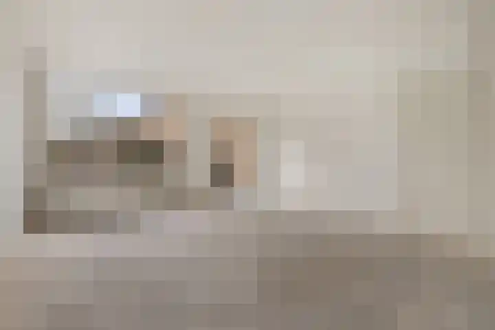Rozemarijntuin 24 Leiderdorp thumbnail 4