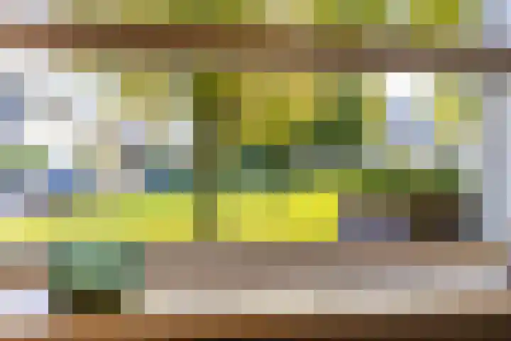 Rozemarijntuin 27 Assen thumbnail 12