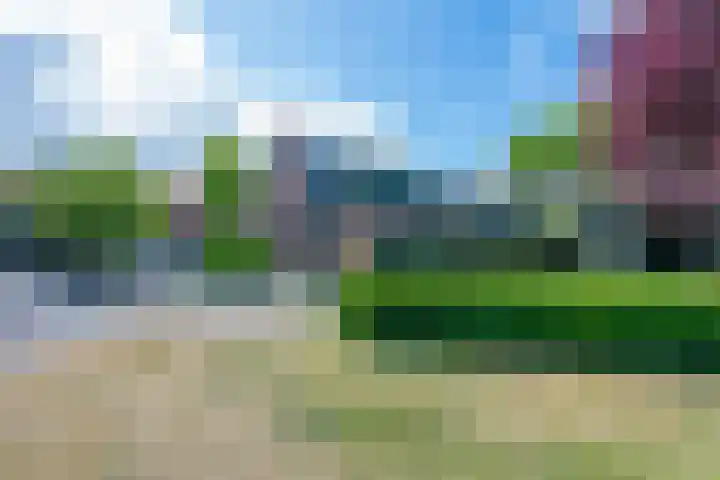 Rozemarijntuin 27 Assen thumbnail 21