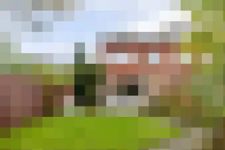 Rozemarijntuin 27 Assen thumbnail 28