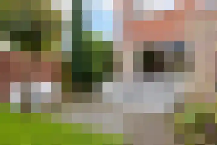 Rozemarijntuin 27 Assen thumbnail 30