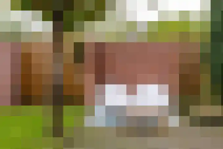 Rozemarijntuin 27 Assen thumbnail 31
