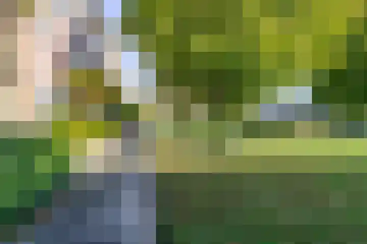 Rozemarijntuin 27 Assen thumbnail 36