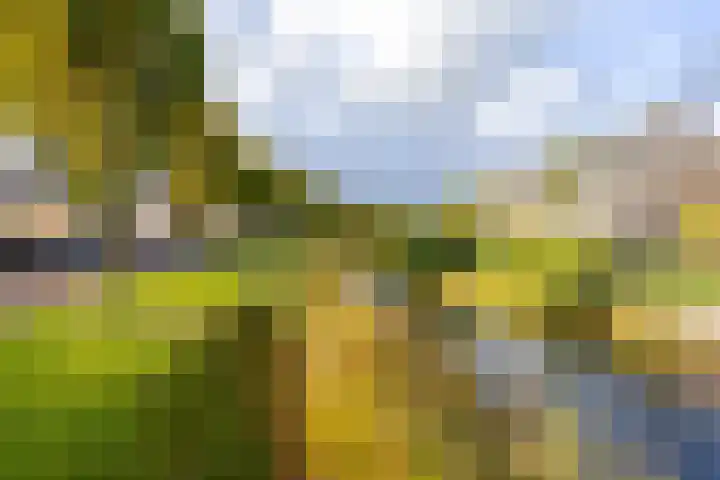 Rozemarijntuin 27 Assen thumbnail 37