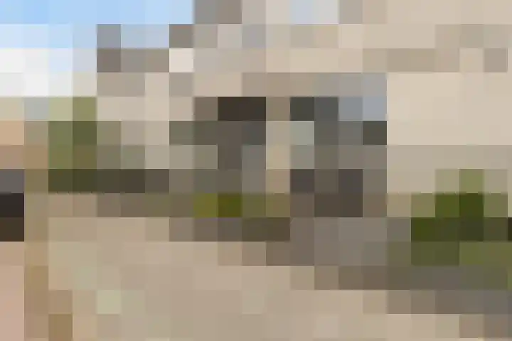 Rozemarijntuin 27 Assen thumbnail 39