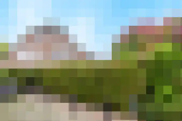 Rozemarijntuin 27 Assen thumbnail 50