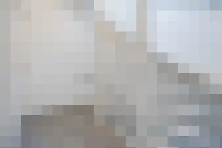 Rozenbloemstraat 26 Made thumbnail 26