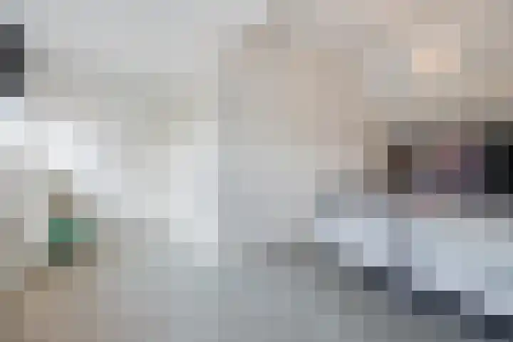 Rozenbloemstraat 26 Made thumbnail 42