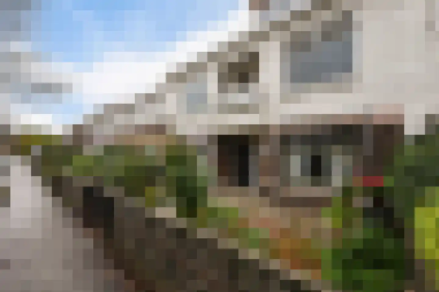 Rozenboomlaan 32 dans Voorburg