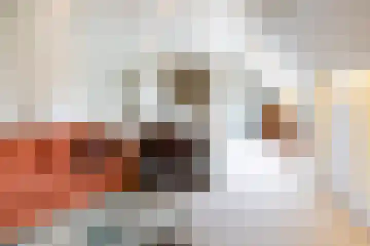 Rozenbos 3 a Rheden thumbnail 15