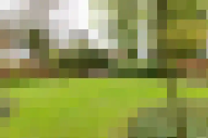 Rozenbos 3 a Rheden thumbnail 29