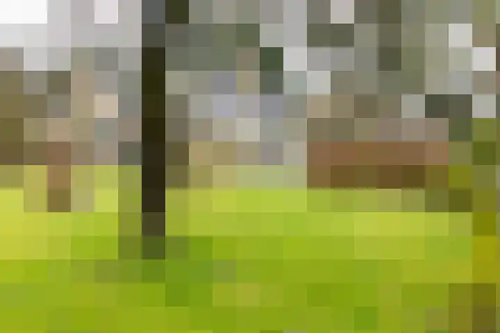 Rozenbos 3 a Rheden thumbnail 31