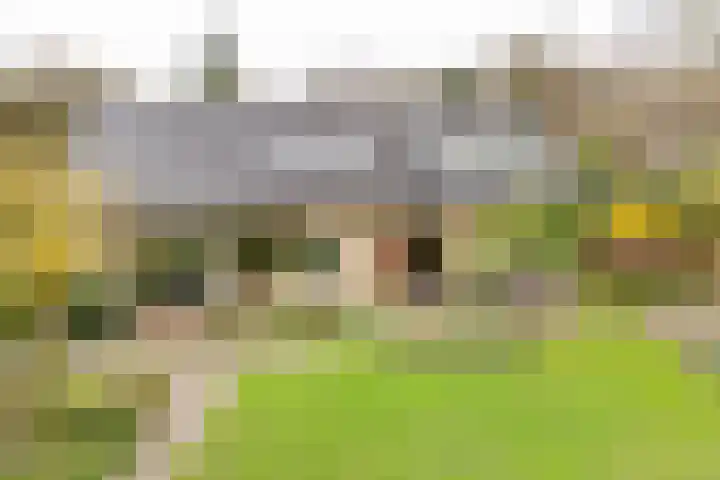 Rozenbos 3 a Rheden thumbnail 38